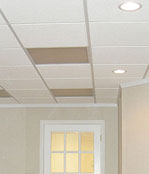 Basement ceiling tiles - Spring Valley and Nanuet