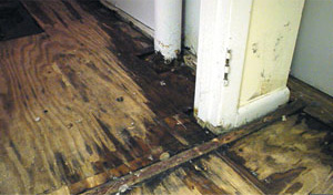 Rotted Wood Subfloor