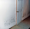 Drywall that's been damaged by moisture and water will grow mold and show significant structural weakening.  It should be cut away quickly before the mold spreads and develops into a much larger issue.